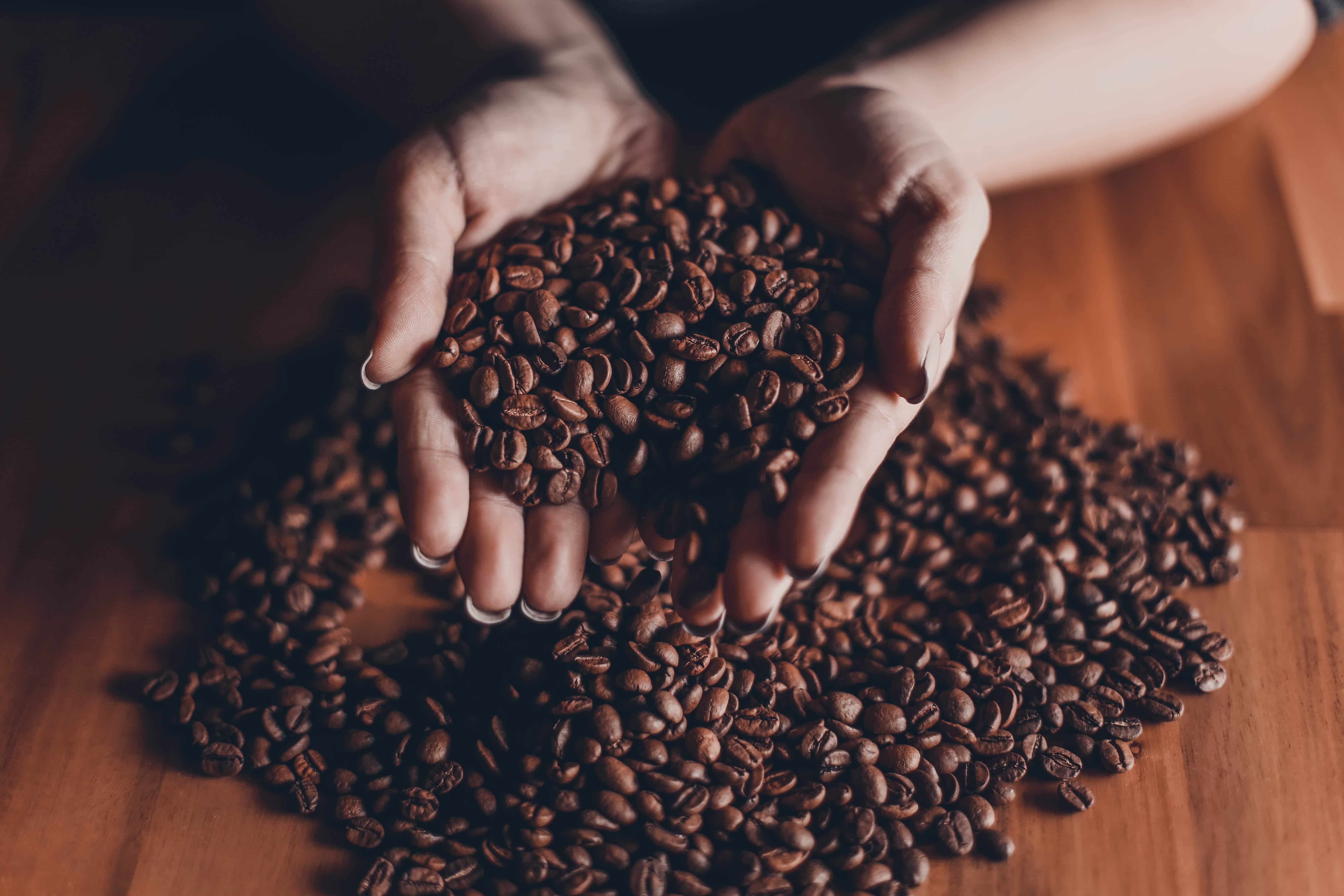 Best Decaf Coffee – Buying Guide